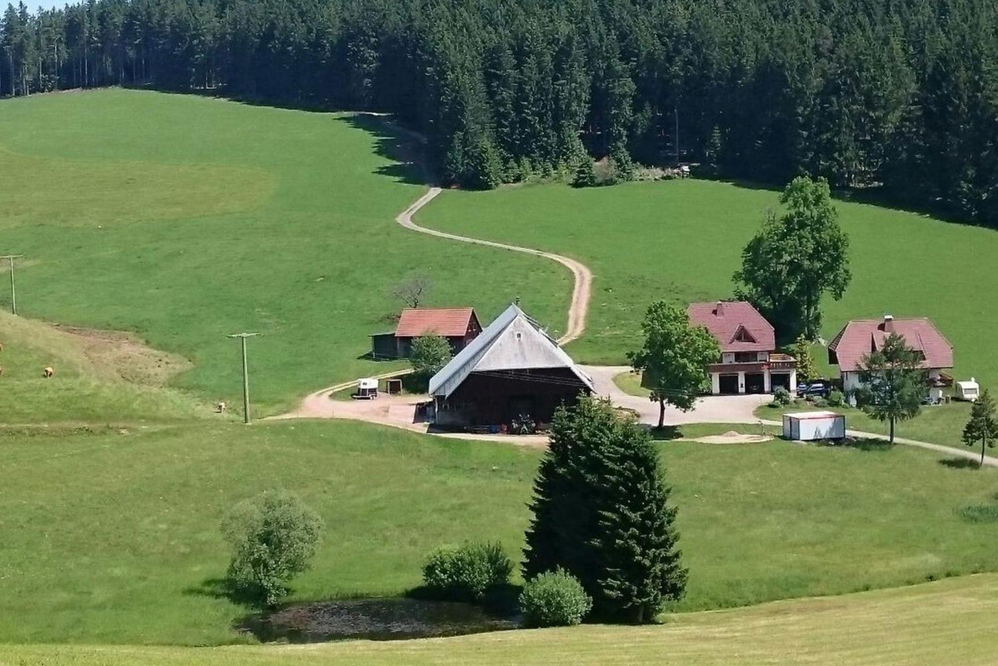 Ferienwohnung Oberengenbachhof Eisenbach  Exterior foto